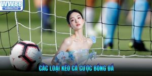 Các loại kèo cá cược bóng đá