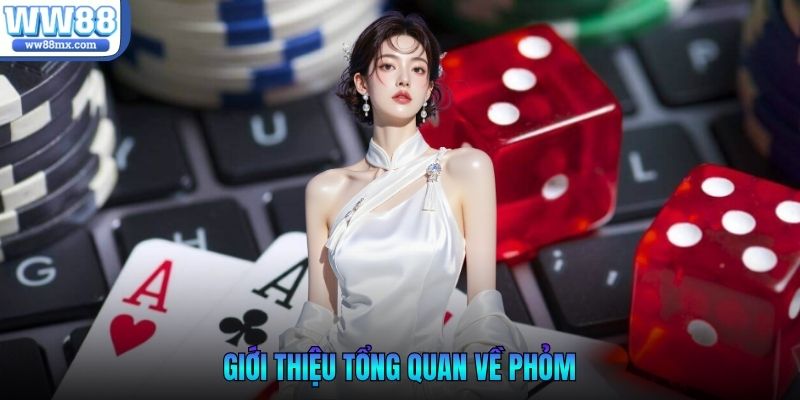 Giới thiệu tổng quan về Phỏm