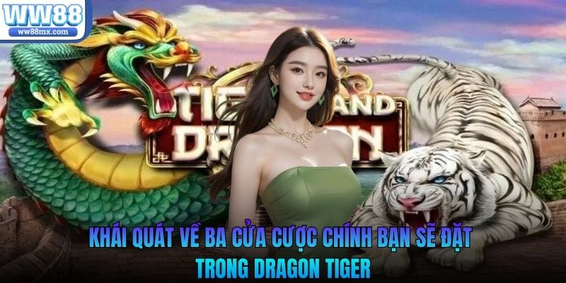 Khái quát về ba cửa cược chính bạn sẽ đặt trong dragon tiger