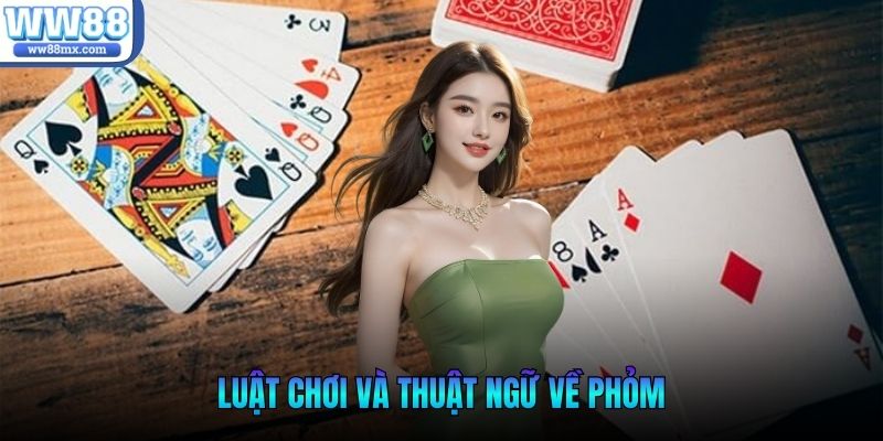 Luật chơi và thuật ngữ về Phỏm