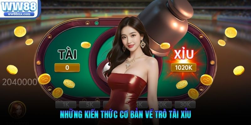 Những kiến thức cơ bản về trò tài xỉu
