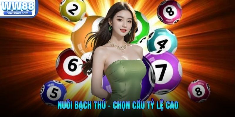 Nuôi bạch thủ - Chọn cầu tỷ lệ cao