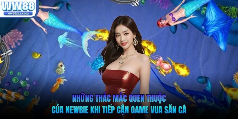 Những thắc mắc quen thuộc của newbie khi tiếp cận game vua săn cá